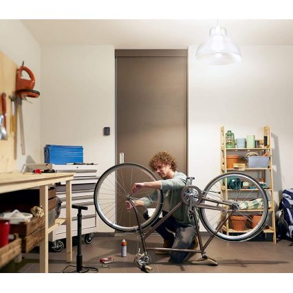 LED-polttimo Philips Hue WHITE E67 E27/15,5W/230V