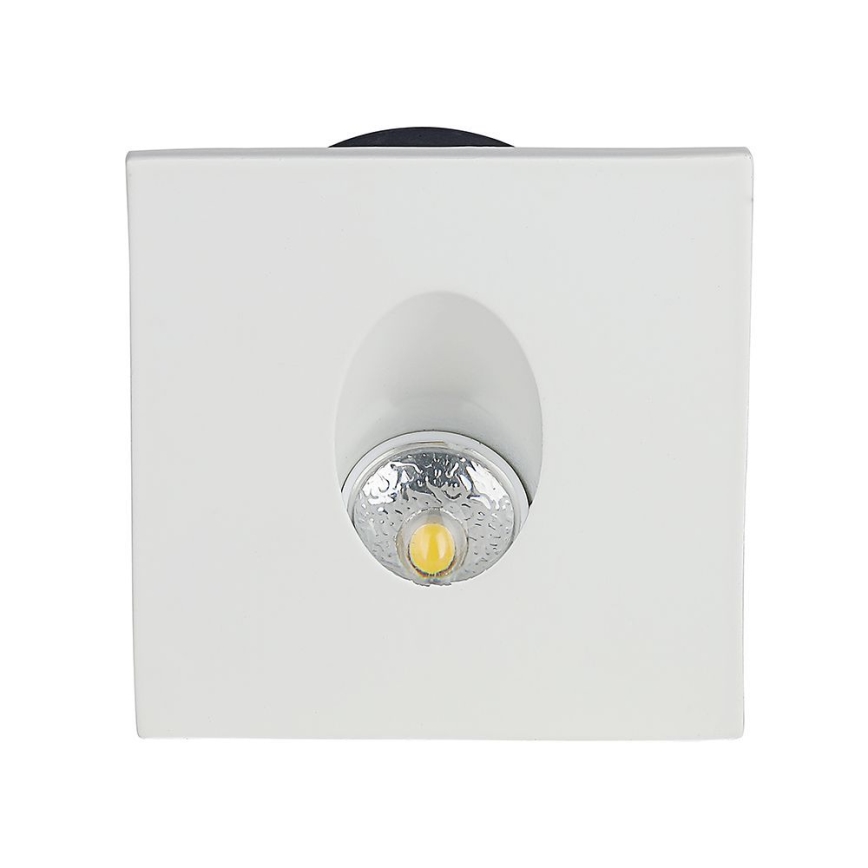 LED Portaikon valo LED/3W/230V 3000K valkoinen