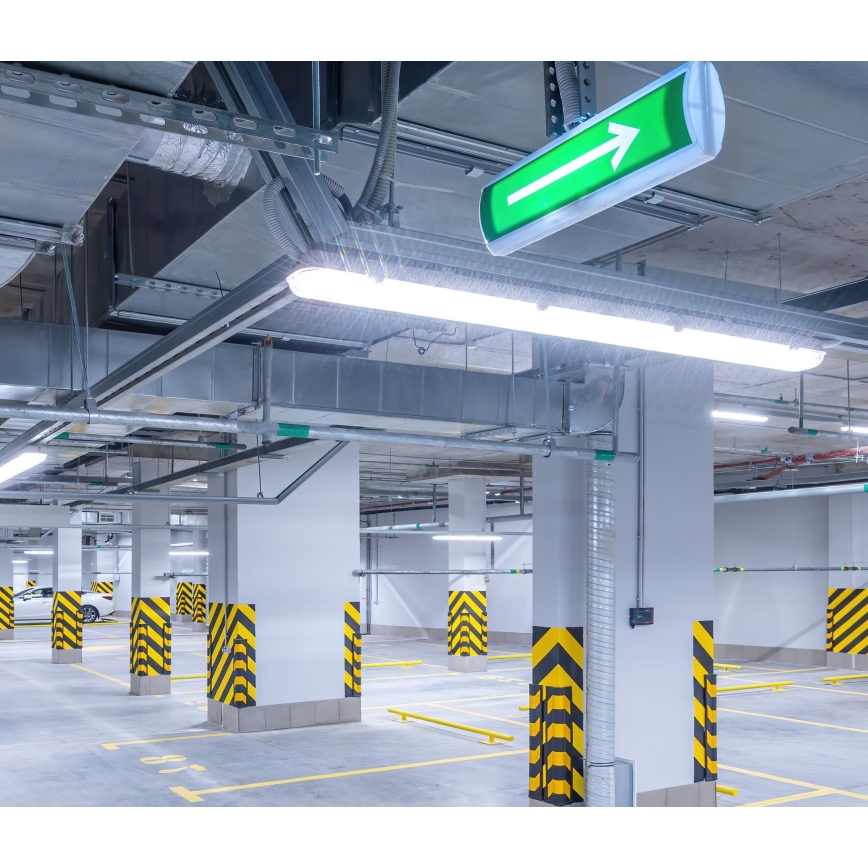 LED-putkityövalo NEXFORCE LED/52W/230V IP66 4000K