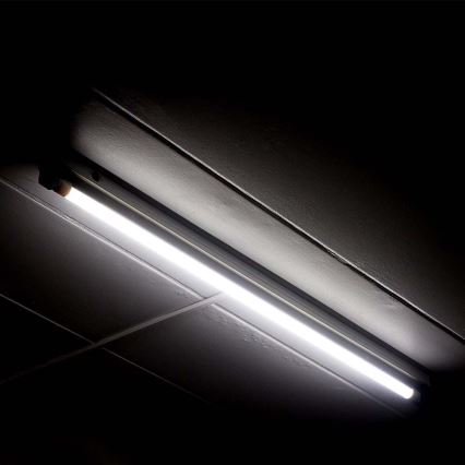 LED-putkivalo T5 G5/8W/230V 4000K 60 cm