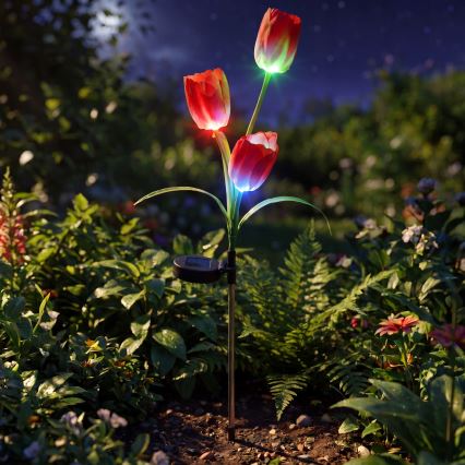 LED RGB aurinkokennolla toimiva koristevalaisin 3xLED/3,7V 200 mAh IP44 tulipán