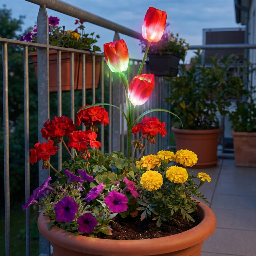 LED RGB aurinkokennolla toimiva koristevalaisin 3xLED/3,7V 200 mAh IP44 tulipán