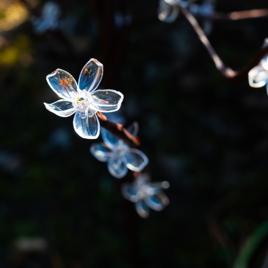 LED RGBW Aurinkovalo TREE LED/0,1W/1,2V 600 mAh IP44 ruskea