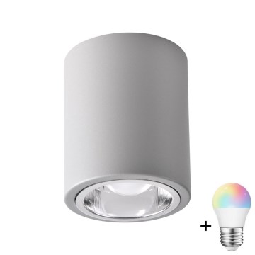 LED RGBW himmennettävä kohdevalaisin JUPITER 1xE27/6,5W/230V 2700-6500K Wi-Fi halkaisija 9,8 cm harmaa