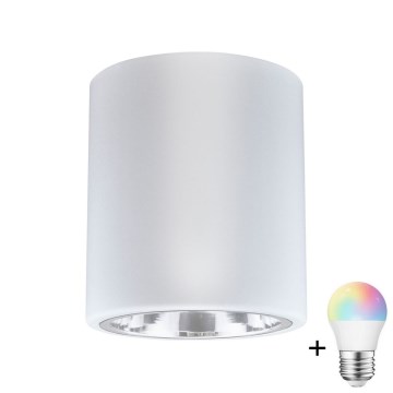 LED RGBW himmennettävä kohdevalaisin JUPITER 1xE27/6,5W/230V 2700-6500K Wi-Fi Ø 13 cm valkoinen
