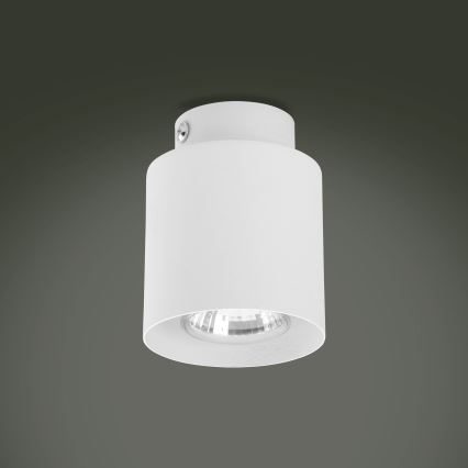 LED RGBW himmennettävä kohdevalaisin VICO 1xGU10/6,5W/230V 2700-6500K