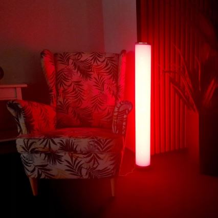 LED RGBW himmennettävä lattiavalaisin STELLA LED/12W/230V + kaukosäädin