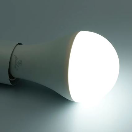 LED RGBW Himmennettävä polttimo A60 E27/15W/230V 2700-6500K Wi-Fi Tuya