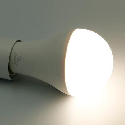 LED RGBW Himmennettävä polttimo A60 E27/15W/230V 2700-6500K Wi-Fi Tuya
