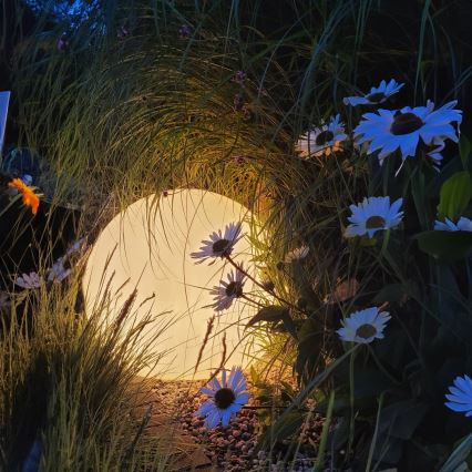 LED RGBW himmennettävä ulkovalaisin GLOBO 1xE27/9W/230V 2700-6500K halkaisija 30 cm IP44 Wi-Fi