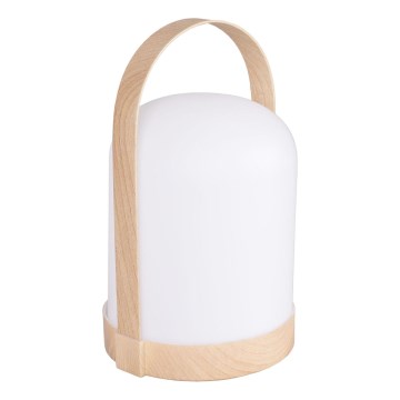 LED RGBW Koristeellinen pöytävalaisin MINORKA LED/0,3W/4,5V 3xAA