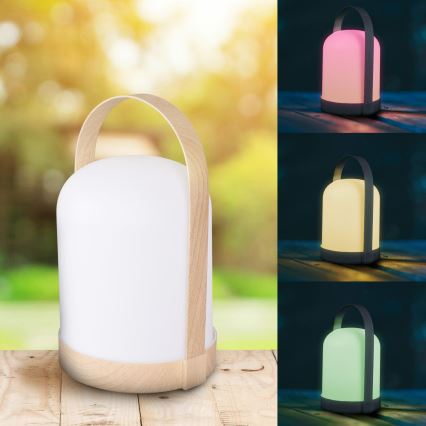 LED RGBW Koristeellinen pöytävalaisin MINORKA LED/0,3W/4,5V 3xAA