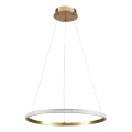 LED-riippuvalaisin DIANA LED/25W/230V 4000K Ø 50 cm kultainen