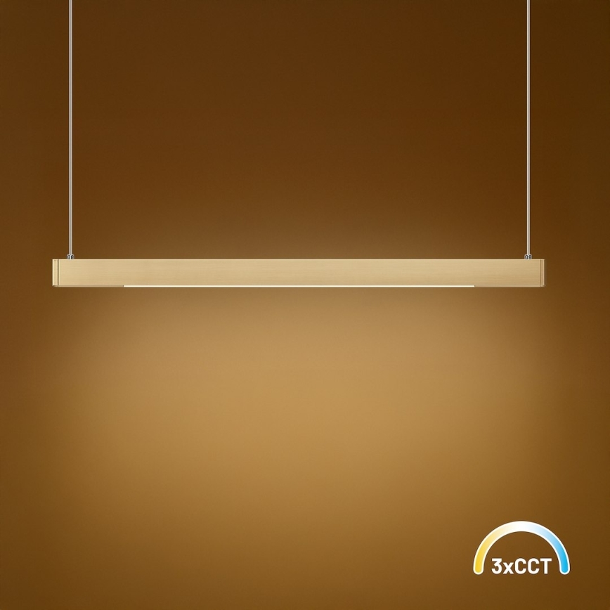 LED-riippuvalaisin lankaripustuksella LINEA LED/36W/230V 3000/4000/5700K CRI 90 kullanvärinen