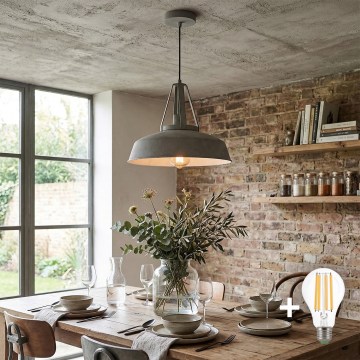 LED-riippuvalaisin RYAN vaijerilla 1xE27/60W/230V harmaa