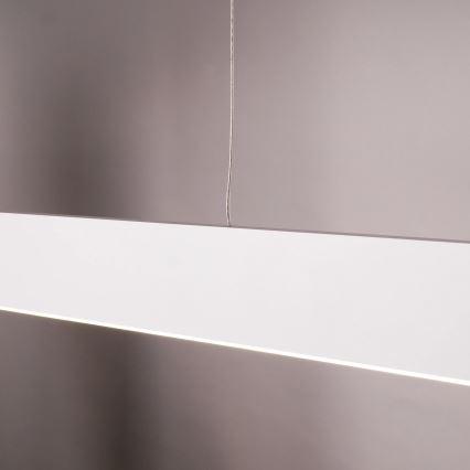 LED-riippuvalaisin vaijerilla BERNADETTA LED/20W/230V 4000K valkoinen