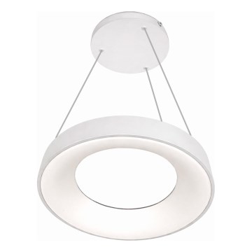 LED-riippuvalaisin vaijerilla DRAX LED/32W/230V 4000K, halkaisija 38 cm, valkoinen