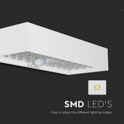 LED-seinäaurinkovalaisin anturilla LED/6W/3,7V IP65 4000K 3000 mAh valkoinen