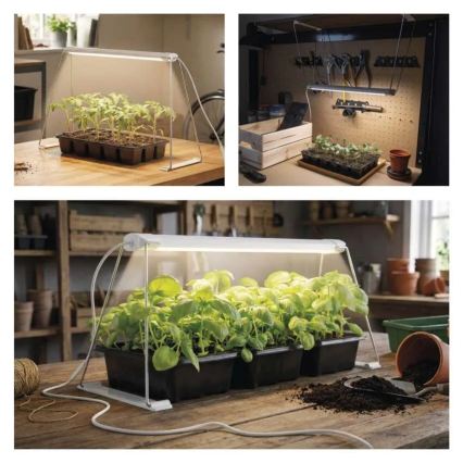 LED-sisäkasvivalaisin GROW LED/15W/230V