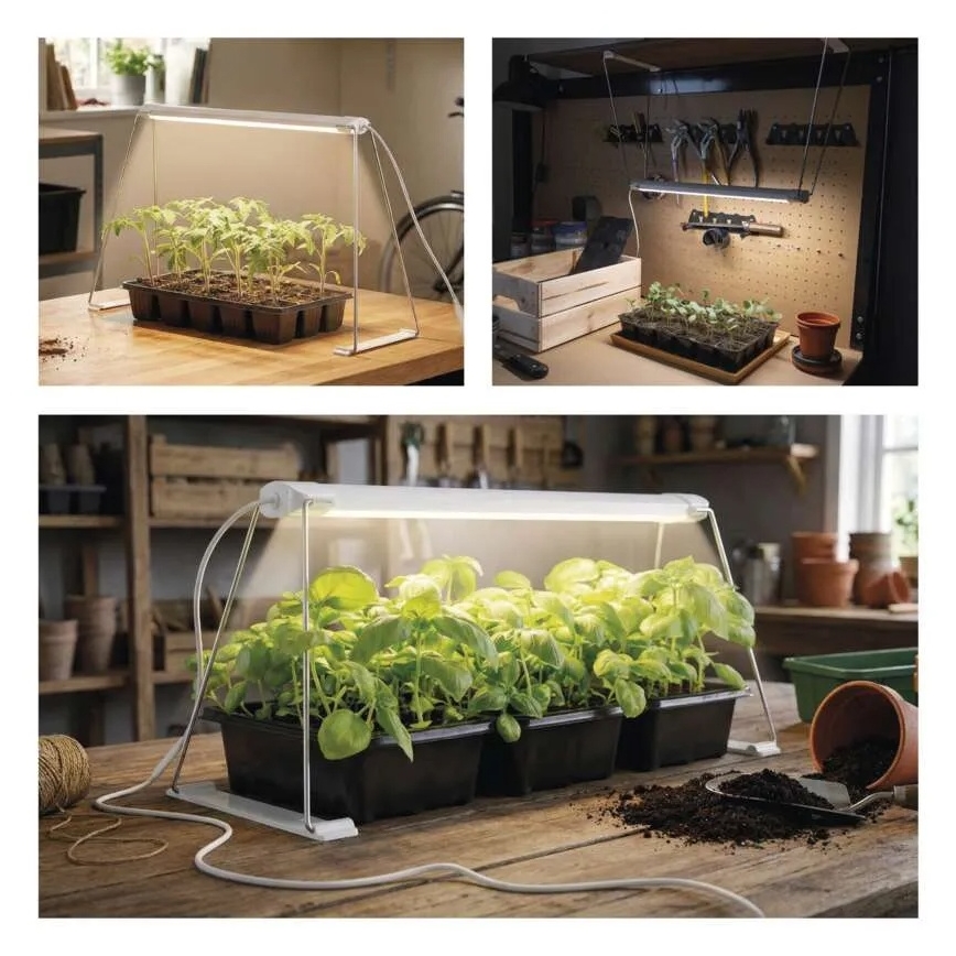 LED-sisäkasvivalaisin GROW LED/15W/230V