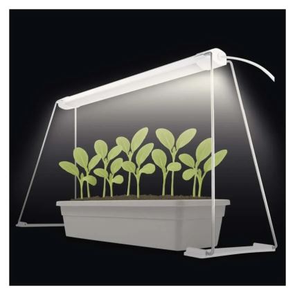 LED-sisäkasvivalaisin GROW LED/15W/230V