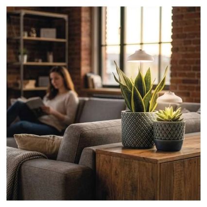 LED-sisäkasvivalaisin GROW LED/5W/5V