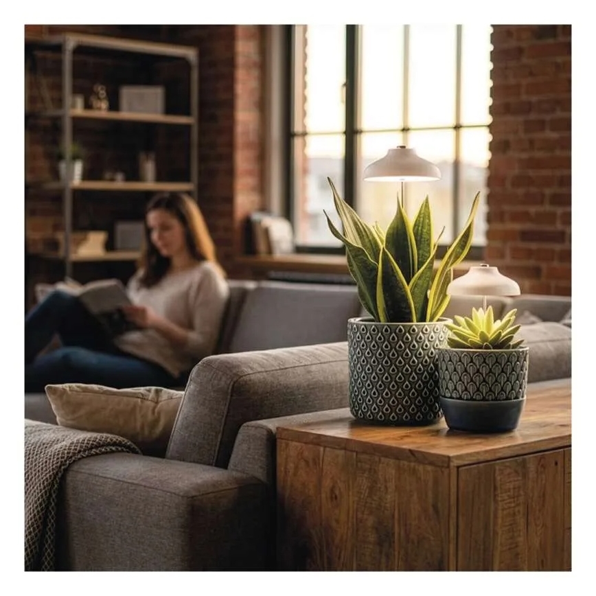 LED-sisäkasvivalaisin GROW LED/5W/5V