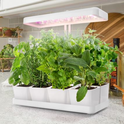 LED Sisävalaisin kasvien kasvattamiseen LED/20W/5V 3500K