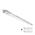 LED-tekninen loisteputkivalaisin T8, 2x G13, 18W, 230V, 6500K, IP65, 127 cm