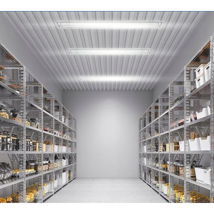 LED-tekninen T8-loisteputkivalaisin 2xG13/20W/230V 6500K 120 cm IP65 valkoinen