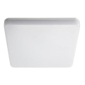 LED-työvalo LED/24W/230V 4000K IP54