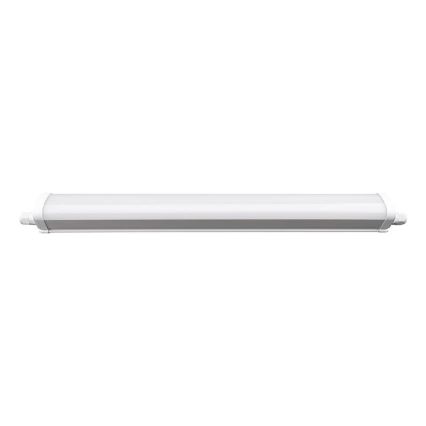 LED-työvalo LED/40W/180-265V IP65
