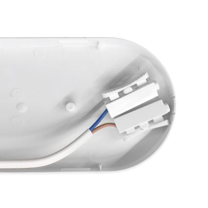 LED-työvalo LED/8W/230V IP54