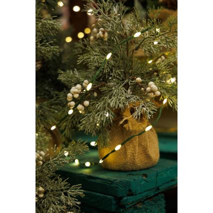 LED-ulkojouluketju LINE 700xLED/8 toiminnot 40 m IP44 lämpimänvalkoinen