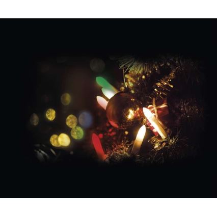 LED ulkojouluvalot 20xLED 12m IP44 monivärinen