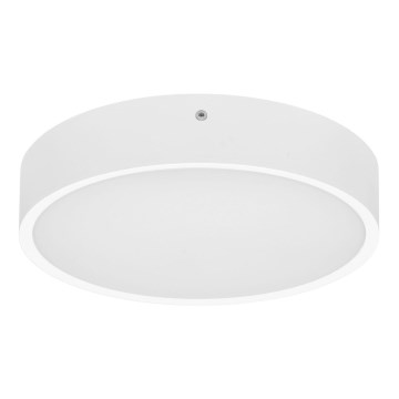 LED-ulkokattovalaisin anturilla MARTIN LED/25W/230V 3000/4000K halkaisija 35 cm IP65 valkoinen