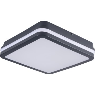 LED-ulkokattovalaisin BENO LED/24/30W/230V 3000/3500/4000K IP65 antrasiitti kulmikas