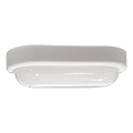 LED-ulkokattovalaisin LED/15W/230V 4200K 20x9,8 cm IP64 valkoinen