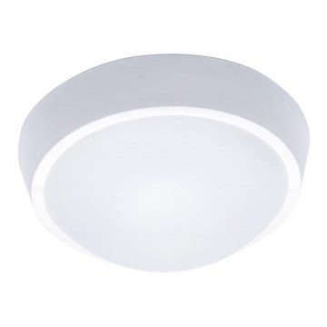 LED Ulkokattovalaisin LED/18W/230V  IP65