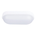 LED-ulkokattovalaisin LED/20W/230V IP54