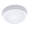 LED-ulkokattovalaisin LED/30W/230V  IP65
