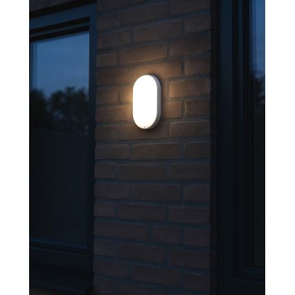 LED-ulkokattovalaisin LED/8W/230V 4200K IP64 valkoinen