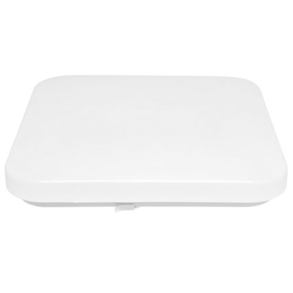 LED-ulkokattovalaisin LUKA LED/42W/230V IP44