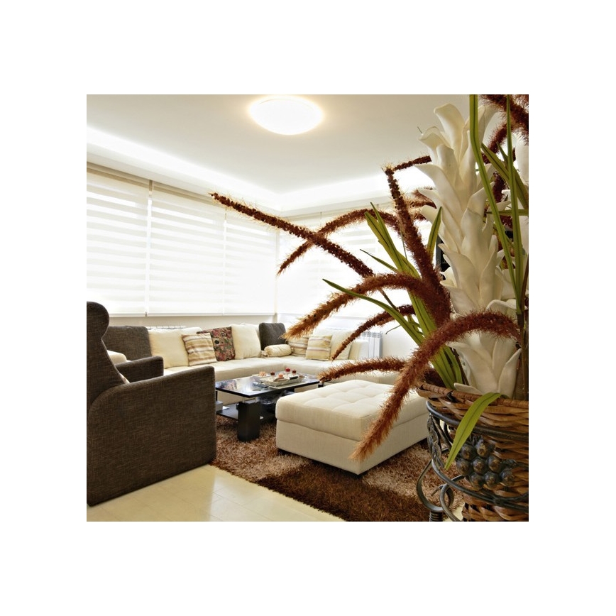 LED-ulkokattovalaisin NELA LED/20W/230V IP44