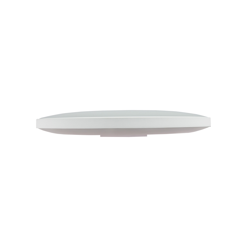 LED ulkokattovalaisin NYMPHEA LED/32W/230V IP54 3000K