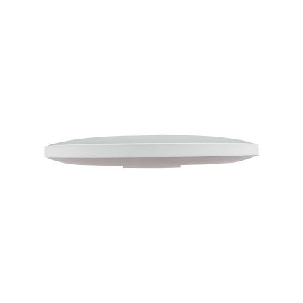 LED ulkokattovalaisin NYMPHEA LED/32W/230V IP54 6000K