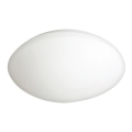 LED-ulkokattovalaisin PETRA LED/12W/230V IP44