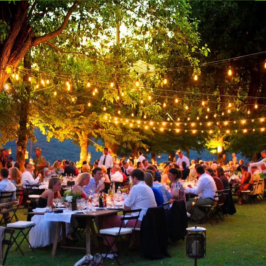 LED Ulkokäyttöön tarkoitettu koristevalosarja 20xE27/1W/230V 10 m IP65 musta