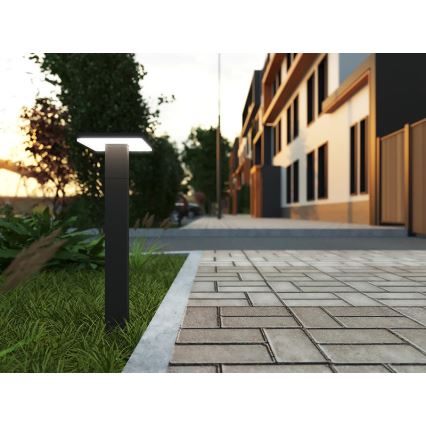 LED-ulkolamppu BARI LED/10W/230V 4000K 60 cm IP54 antrasiitti
