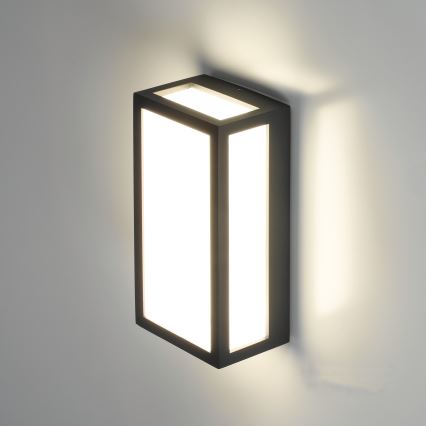 LED ulkoseinävalaisin ENTERA LED/10W/230V 4000K IP54